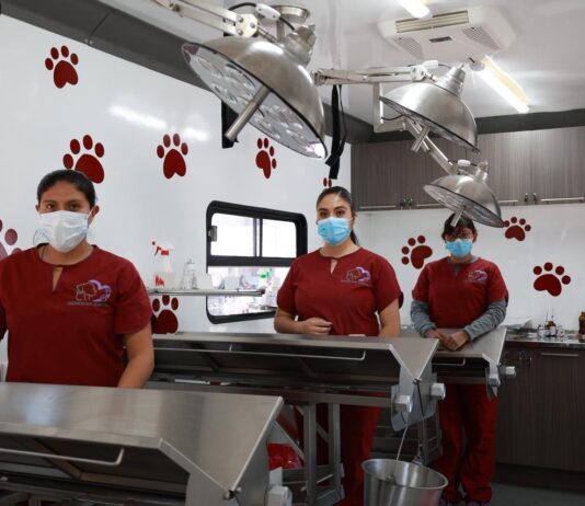 Alcaldesa Rosi Wong impulsa jornadas gratuitas de esterilización animal en Tecámac: estas son las fechas para este mes de agosto