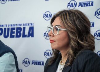 PAN insta a Sheinbaum a reunirse con Trump; no estamos en condiciones “evaluar” encuentros