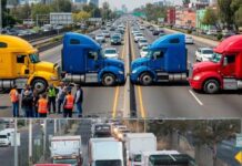 “O hay seguridad o no hay abasto»: alistan paro nacional en septiembre