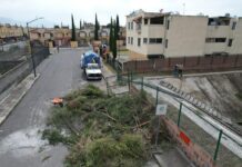 ODAPAS Tecamác fortalece acciones preventivas y hace un llamado a no tirar basura en las calles