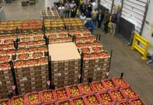 Guanajuato abre nuevas oportunidades para el campo en McAllen, Texas