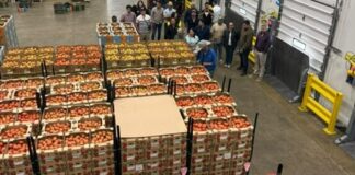 Guanajuato abre nuevas oportunidades para el campo en McAllen, Texas