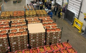 Guanajuato abre nuevas oportunidades para el campo en McAllen, Texas