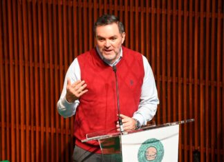 Döring pide a Taddei reconsiderar la “ajolotización” del INE