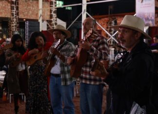 Ritmo y tradición veracruzana toman Tecámac: alcaldesa Rosi Wong invita a vivir el cierre del encuentro de son jarocho
