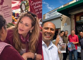 Coyoacán en Riesgo para Morena si Abanderan a Ana María Lomelí