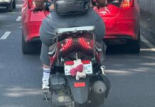 Promueve Senadora Mariela Gutiérrez Acabar con Impunidad de los que Ocultan sus Placas Vehiculares para Circular