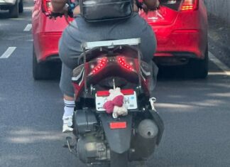 Promueve Senadora Mariela Gutiérrez Acabar con Impunidad de los que Ocultan sus Placas Vehiculares para Circular