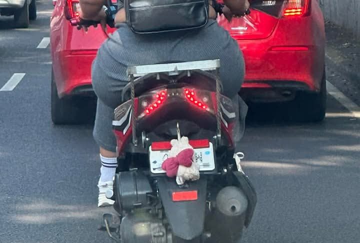 Promueve Senadora Mariela Gutiérrez Acabar con Impunidad de los que Ocultan sus Placas Vehiculares para Circular