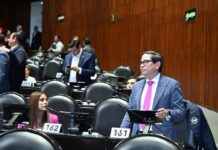 224 mil mdp a obras “basura”: Chimal García plantea comisión legislativa para evaluar la rentabilidad del Tren Maya, AIFA, Mexicana, Megafarmacia, etc