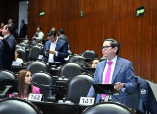 224 mil mdp a obras “basura”: Chimal García plantea comisión legislativa para evaluar la rentabilidad del Tren Maya, AIFA, Mexicana, Megafarmacia, etc