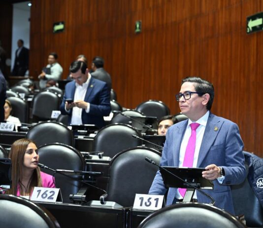 224 mil mdp a obras “basura”: Chimal García plantea comisión legislativa para evaluar la rentabilidad del Tren Maya, AIFA, Mexicana, Megafarmacia, etc