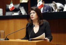 Turnan a Comisiones Reforma para Evitar que se Oculten las Placas de Vehículos