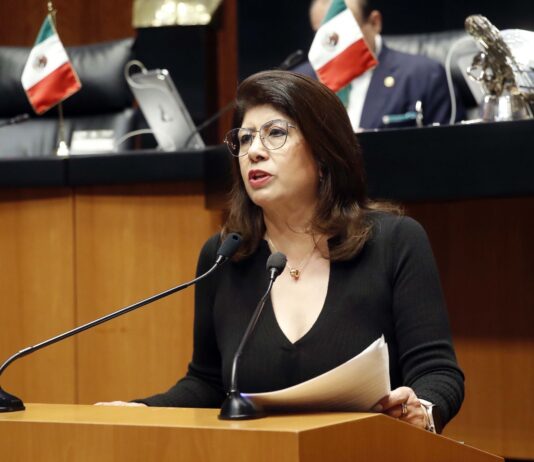 Turnan a Comisiones Reforma para Evitar que se Oculten las Placas de Vehículos