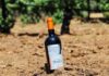 Palabras Más / ¡Huachicol de vino!