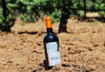 Palabras Más / ¡Huachicol de vino!