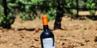 Palabras Más / ¡Huachicol de vino!