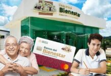 Yo Campesino / Deuda ¿Para qué?