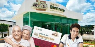 Yo Campesino / Deuda ¿Para qué?