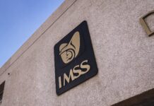 ¡Fórmulas magistrales: IMSS deja a pacientes en espera!