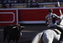 Tribunal revoca suspensión de corridas de toros en Zacatecas