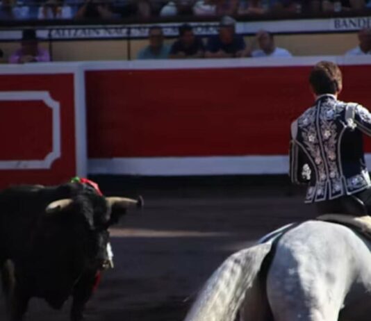 Tribunal revoca suspensión de corridas de toros en Zacatecas