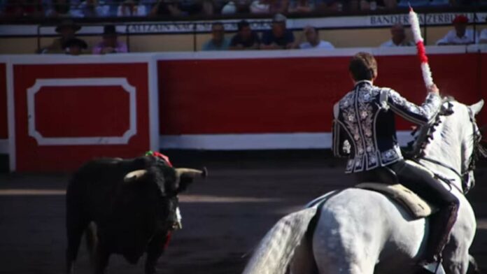tribunal-revoca-suspension-de-corridas-de-toros-en-zacatecas-1536x864