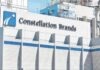 Constellations Brands lleva dos años sin pagar sueldos a sus trabajadores en Veracruz, acusan obreros