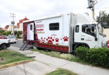 Tecamác alcanza más de ocho mil esterilizaciones y continúa jornadas gratuitas en octubre