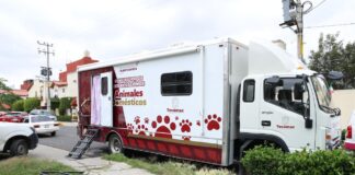 Tecamác alcanza más de ocho mil esterilizaciones y continúa jornadas gratuitas en octubre