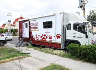 Tecamác alcanza más de ocho mil esterilizaciones y continúa jornadas gratuitas en octubre