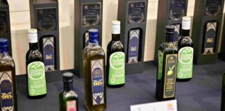 Aceite de oliva: México, un mercado por conquistar
