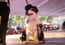 Porque nuestras raíces son «mucha pieza», Tecámac celebrará a lo grande la tercera edición de Del mitote al Mictlán