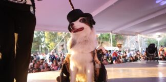 Porque nuestras raíces son «mucha pieza», Tecámac celebrará a lo grande la tercera edición de Del mitote al Mictlán