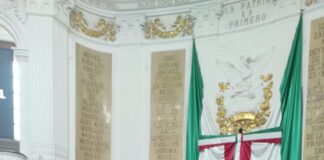 A favor de una muerte digna: Diana Sánchez Barrios