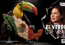 Opinión / El Verde que viene