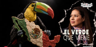 Opinión / El Verde que viene