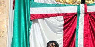 Diana Sánchez propone que el sistema de planeación del desarrollo de la Ciudad de México incorpore expresamente el factor de trabajo informal como una variable transversal de diagnóstico, planeación, seguimiento y evaluación