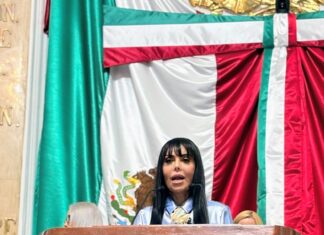 Diana Sánchez propone que el sistema de planeación del desarrollo de la Ciudad de México incorpore expresamente el factor de trabajo informal como una variable transversal de diagnóstico, planeación, seguimiento y evaluación