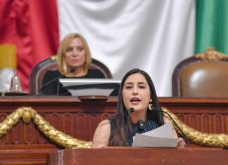 Proponen protocolo para atender a animales atropellados en CDMX