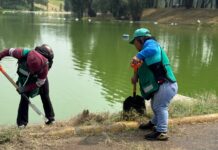 Hormigas Verdes refuerzan atención del Parque Tezozómoc en Azcapotzalco