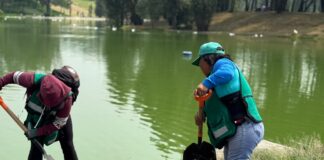 Hormigas Verdes refuerzan atención del Parque Tezozómoc en Azcapotzalco