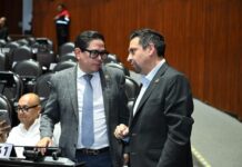 PAN en San Lázaro apoya cambiarle el nombre al aeropuerto de Tulum; propone también recuperar viajes internacionales y mayor promoción turística