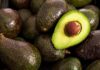 México acuerda medidas en seguridad y sanidad para fortalecer la industria del aguacate