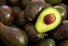 México acuerda medidas en seguridad y sanidad para fortalecer la industria del aguacate