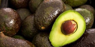México acuerda medidas en seguridad y sanidad para fortalecer la industria del aguacate