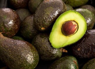 México acuerda medidas en seguridad y sanidad para fortalecer la industria del aguacate