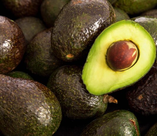 México acuerda medidas en seguridad y sanidad para fortalecer la industria del aguacate