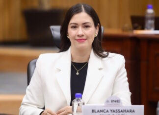 Confirma Blanca Cruz 12 renuncias en el INE tras salida de Taddei