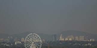 Contaminación por ozono alcanza al 40 % de la población global